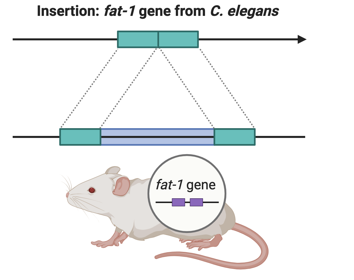 advanced genetics report